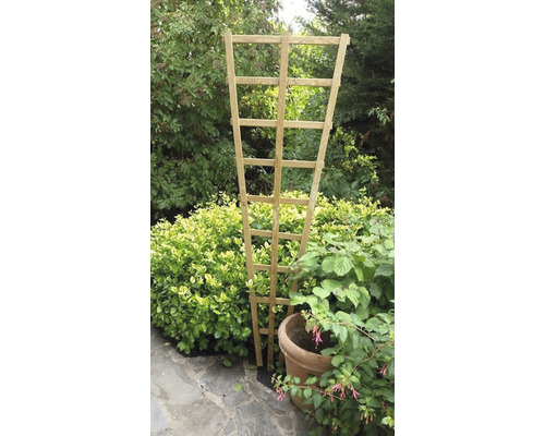 Spalier plante lemn de pin 18/60x180 cm Suport din lemn pentru plante cățărătoare în grădină