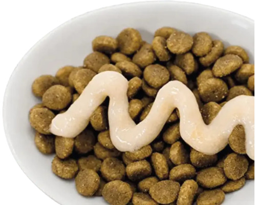 Hrană pentru câini cu sos într-un castron