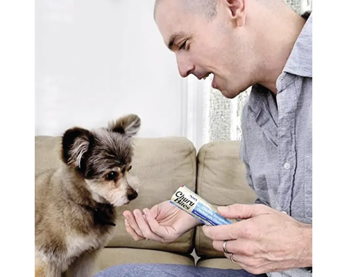 Un bărbat hrănește un câine cu o gustare Churu Bites.