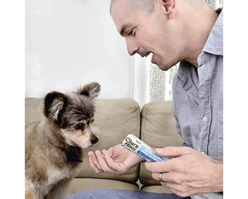 Bărbat oferind unui câine o gustare Churu Bites