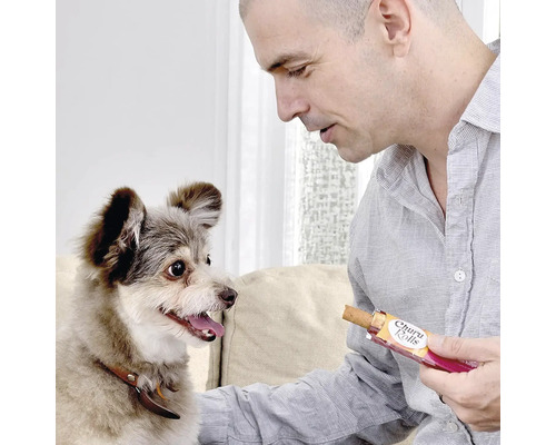 Un bărbat hrănește un câine cu recompense Churu Rolls