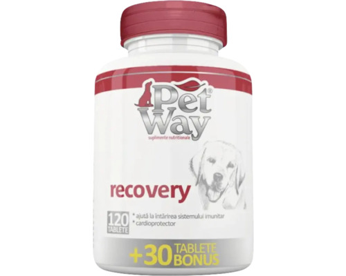 Supliment nutritiv pentru câini PetWay întărirea sistemului imunitar 120 tablete+30 tablete