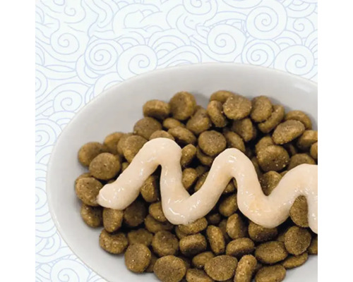 Mâncare pentru câini cu sos într-un bol