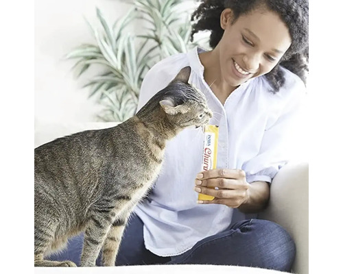 Femeie hrănind o pisică cu o gustare pentru pisici