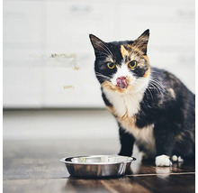 Hrană umedă pentru pisici CIAO Stew cu pui și ton fără cereale, gluten, lactoză și zahăr 40 g-thumb-2