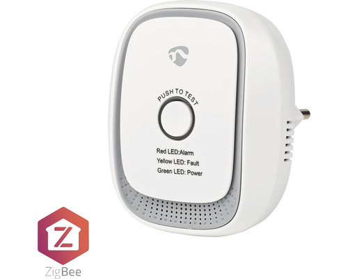 Detector de monoxid de carbon cu fișă și buton de testare