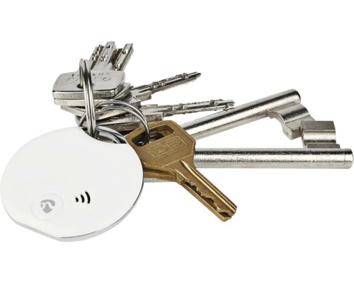 Set de chei cu breloc