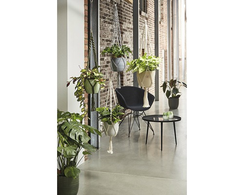 Cameră decorativă cu plante suspendate în suporturi macrame pentru plante, scaun și masă.