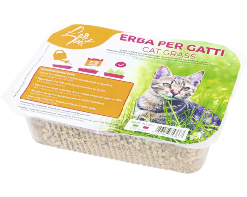 Iarba pisicii Leopet 100 g