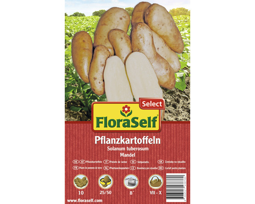 FloraSelf Select sămânță cartof 'Mandel', 10 buc.
