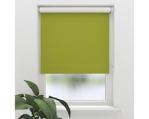 Rulou de fereastră verde în poziție închisă
