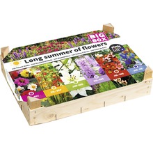 Amestec de bulbi de flori într-o cutie de lemn cu informații despre perioada de înflorire