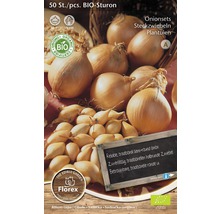 Pachet ceapă de arpagic bio