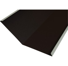 Element de acoperire metalică pentru acoperișuri