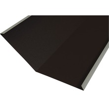 Profil pentru margine de acoperiș din metal