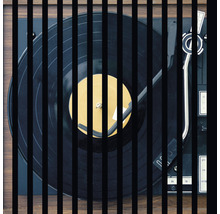 Panou riflaj acustic imprimat digital Vinil 1 19x572.5x572.5 mm