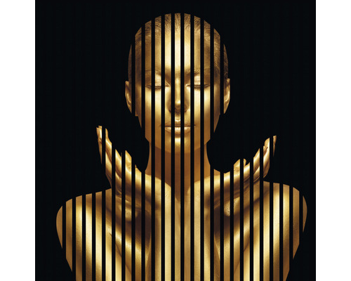 Panou riflaj acustic imprimat digital Gold 1 19x1133x1195 mm Panou riflaj acustic imprimat digital Gold 1 19x1133x1195 mm