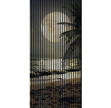 Plajă la lumina lunii cu palmier văzută prin lamele
