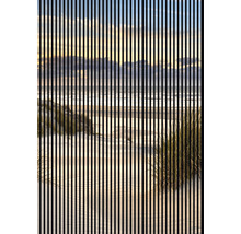 Peisaj de plajă cu vedere la mare și iarbă de dune, străbătut de linii verticale