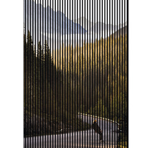 Vedere decorativă a pădurii în spatele liniilor verticale