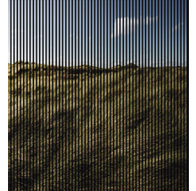 Panou riflaj acustic imprimat digital Iarbă 1 19x2253x2400 mm