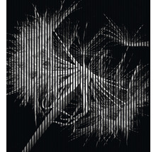 Reprezentare abstractă a frunzelor cu dungi