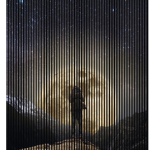 Panou riflaj acustic imprimat digital Lună 1 19x2253x2400 mm