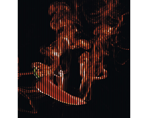 Panou riflaj acustic imprimat digital Chili 1 19x2253x2400 mm