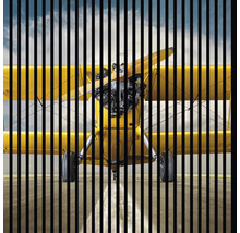 Avion galben biplan în spatele liniilor verticale negre