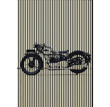 Imagine a unei motociclete în spatele unor dungi verticale