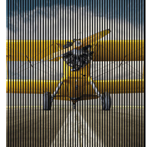 Avion biplan galben cu linii verticale negre