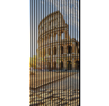 Perdea decorativă cu lamele cu motivul Colosseum