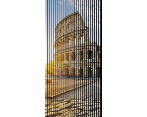 Panou riflaj acustic imprimat digital Colosseum 1 19x1133x2400 mm