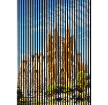 Ilustrație a Sagrada Familia cu linii verticale