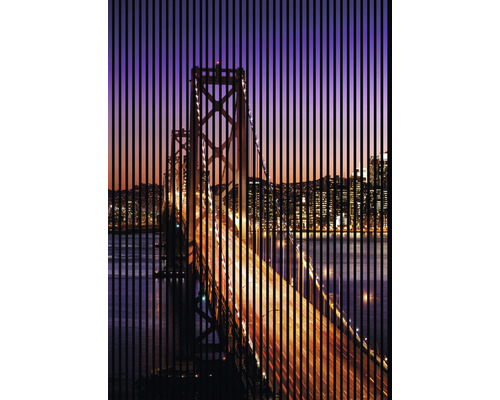 Panou riflaj acustic imprimat digital San Francisco 1 19x1693x2400 mm