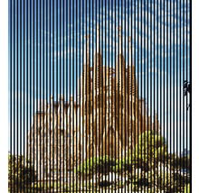 Vedere a Sagrada Familia prin linii verticale