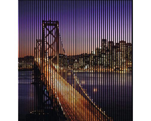 Panou riflaj acustic imprimat digital San Francisco 1 19x2253x2400 mm