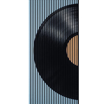 Imaginea unui disc de vinil în spatele unor linii verticale