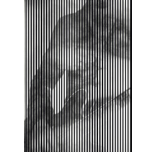 Panou riflaj acustic imprimat digital Riff 2 19x1693x2400 mm