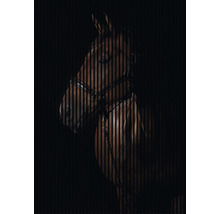 Panou riflaj acustic imprimat digital Cal 1 19x1693x2400 mm