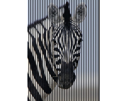 Panou riflaj acustic imprimat digital Zebra 1 19x1693x2400 mm