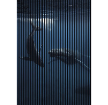 Panou riflaj acustic imprimat digital Wal 1 19x1693x2400 mm
