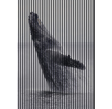 Panou riflaj acustic imprimat digital Wal 2 19x1693x2400 mm