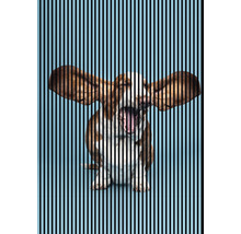 Panou riflaj acustic imprimat digital Dog 1 19x1693x2400 mm