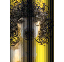 Imagine abstractă cu un câine, cu linii verticale