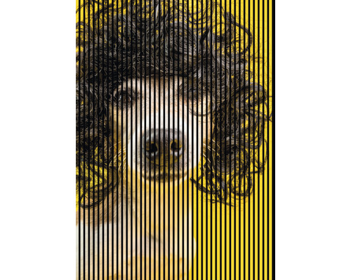 Panou riflaj acustic imprimat digital Dog 2 19x1693x2400 mm