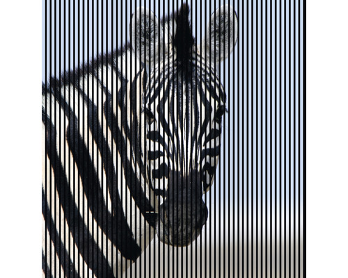 Panou riflaj acustic imprimat digital Zebra 1 19x2253x2400 mm