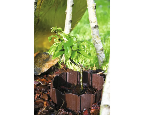 Arbore tânăr cu protecție într-un strat de grădină