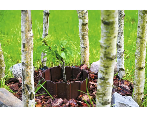 Bordură de pat din plastic cu copac tânăr