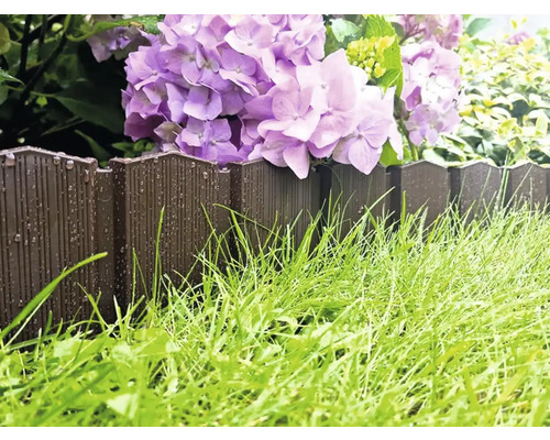 Scenă de grădină cu bordură de gazon, iarbă și hortensii